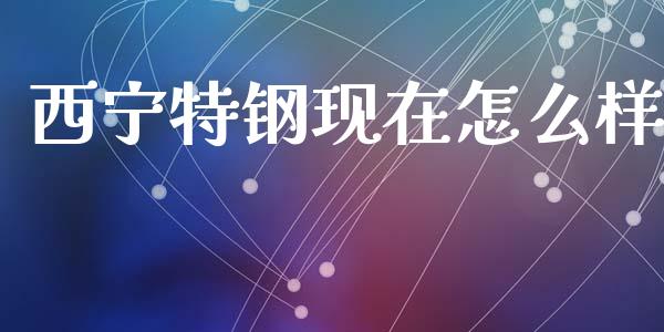 西宁特钢现在怎么样_https://m.fansifence.com_消费金融_第1张