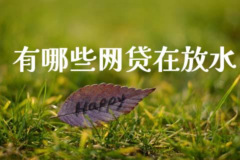 有哪些网贷在放水_https://m.fansifence.com_消费金融_第1张