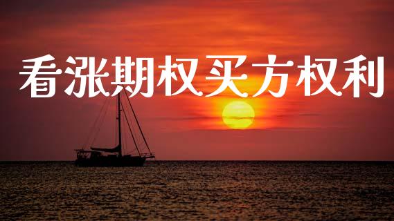 看涨期权买方权利_https://m.fansifence.com_公募基金_第1张