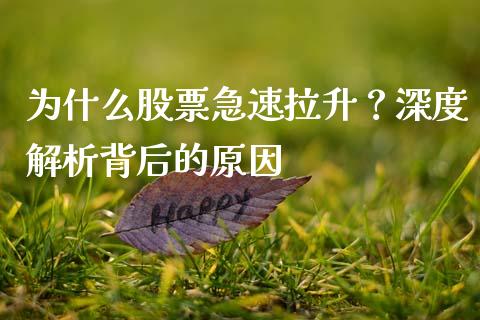 为什么股票急速拉升？深度解析背后的原因_https://m.fansifence.com_贵金属行情_第1张