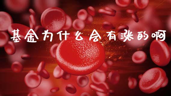 基金为什么会有涨的啊_https://m.fansifence.com_公募基金_第1张