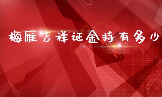 梅雁吉祥证金持有多少_https://m.fansifence.com_公募基金_第1张