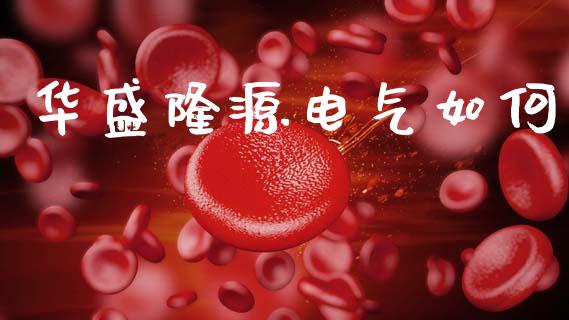 华盛隆源电气如何_https://m.fansifence.com_个股行情_第1张