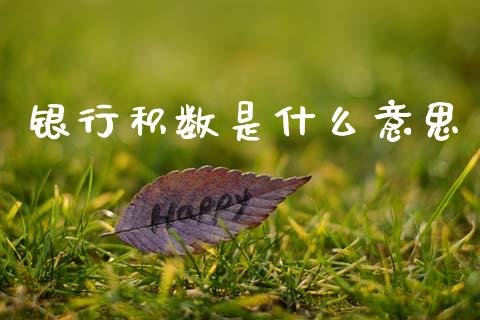 银行积数是什么意思_https://m.fansifence.com_公募基金_第1张