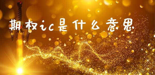 期权ic是什么意思_https://m.fansifence.com_公募基金_第1张