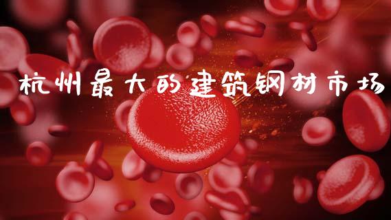 杭州最大的建筑钢材市场_https://m.fansifence.com_公募基金_第1张