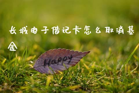 长城电子借记卡怎么取消基金_https://m.fansifence.com_个股行情_第1张