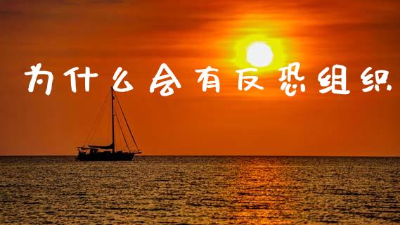 为什么会有反恐组织_https://m.fansifence.com_消费金融_第1张