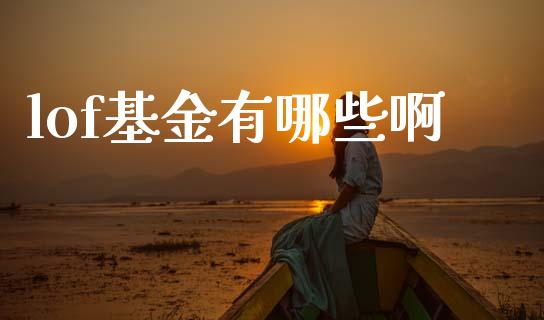 lof基金有哪些啊_https://m.fansifence.com_消费金融_第1张