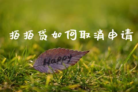 拍拍贷如何取消申请_https://m.fansifence.com_消费金融_第1张