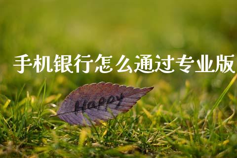 手机银行怎么通过专业版_https://m.fansifence.com_贵金属行情_第1张