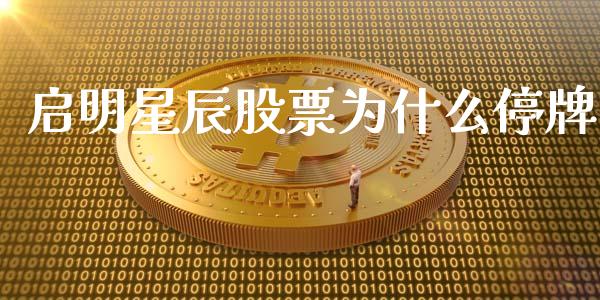 启明星辰股票为什么停牌_https://m.fansifence.com_消费金融_第1张