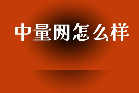 中量网怎么样_https://m.fansifence.com_消费金融_第1张