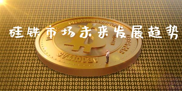 硅铁市场未来发展趋势_https://m.fansifence.com_公募基金_第1张