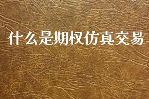 什么是期权仿真交易_https://m.fansifence.com_个股行情_第1张