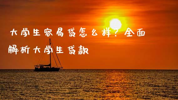 大学生容易贷怎么样？全面解析大学生贷款_https://m.fansifence.com_消费金融_第1张