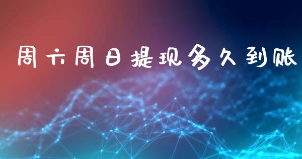 周六周日提现多久到账_https://m.fansifence.com_贵金属行情_第1张