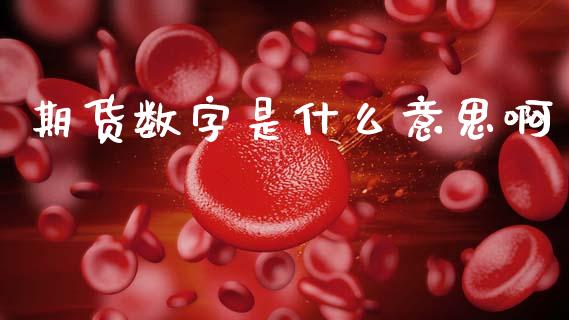 期货数字是什么意思啊_https://m.fansifence.com_消费金融_第1张