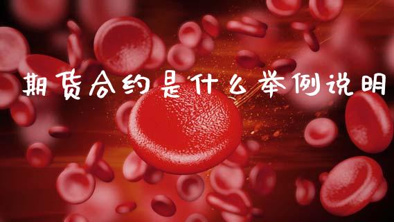期货合约是什么举例说明_https://m.fansifence.com_公募基金_第1张