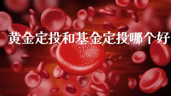 黄金定投和基金定投哪个好_https://m.fansifence.com_贵金属行情_第1张