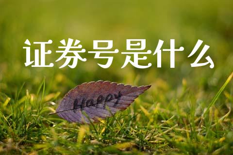 证券号是什么_https://m.fansifence.com_个股行情_第1张