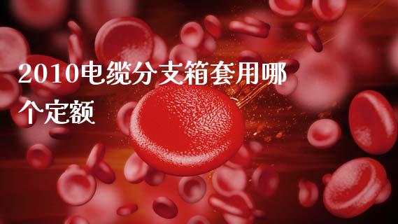 2010电缆分支箱套用哪个定额_https://m.fansifence.com_消费金融_第1张