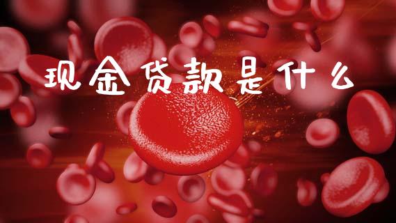现金贷款是什么_https://m.fansifence.com_公募基金_第1张