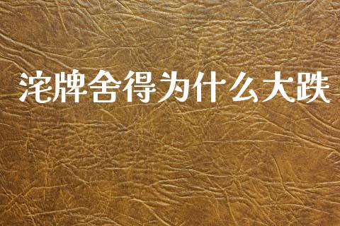 沱牌舍得为什么大跌_https://m.fansifence.com_公募基金_第1张