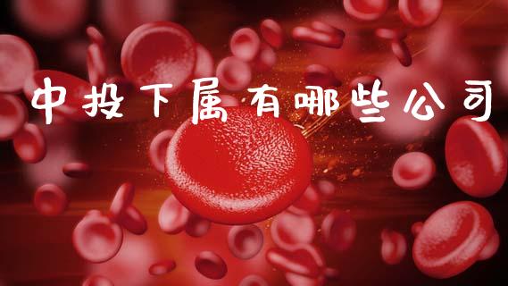 中投下属有哪些公司_https://m.fansifence.com_消费金融_第1张