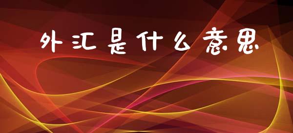 外汇是什么意思_https://m.fansifence.com_消费金融_第1张