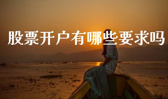 股票开户有哪些要求吗_https://m.fansifence.com_消费金融_第1张