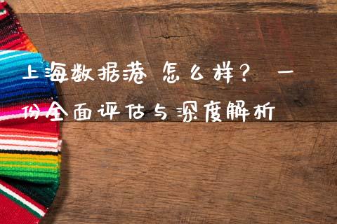 上海数据港 怎么样？ 一份全面评估与深度解析_https://m.fansifence.com_贵金属行情_第1张