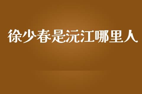 徐少春是沅江哪里人_https://m.fansifence.com_公募基金_第1张