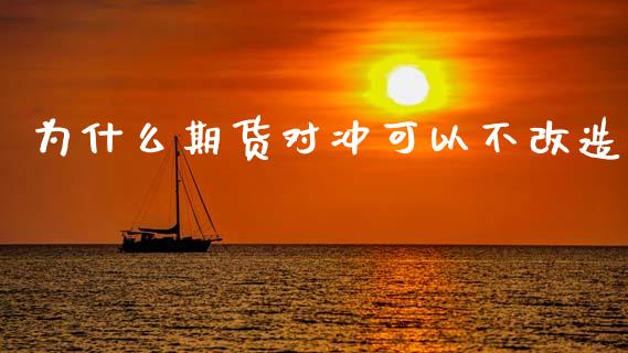 为什么期货对冲可以不改造_https://m.fansifence.com_消费金融_第1张