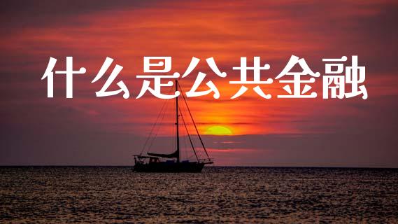 什么是公共金融_https://m.fansifence.com_个股行情_第1张
