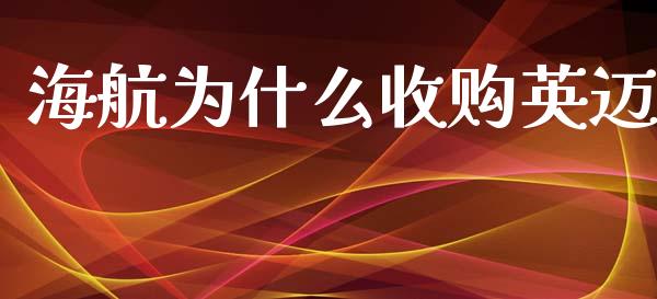 海航为什么收购英迈_https://m.fansifence.com_消费金融_第1张