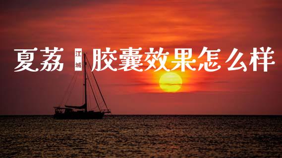 夏荔芪胶囊效果怎么样_https://m.fansifence.com_公募基金_第1张