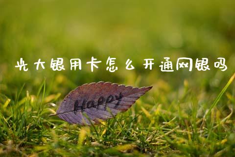 光大银用卡怎么开通网银吗_https://m.fansifence.com_贵金属行情_第1张
