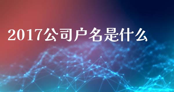 2017公司户名是什么_https://m.fansifence.com_消费金融_第1张