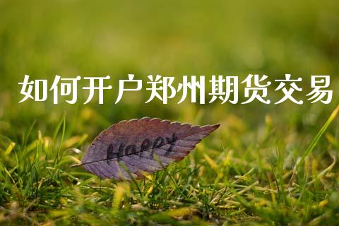 如何开户郑州期货交易_https://m.fansifence.com_公募基金_第1张