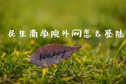 民生商学院外网怎么登陆_https://m.fansifence.com_个股行情_第1张