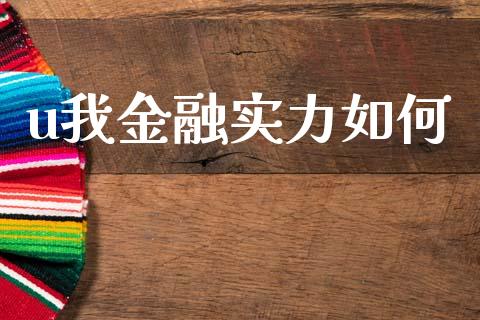 u我金融实力如何_https://m.fansifence.com_消费金融_第1张