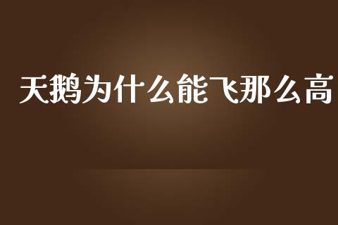 天鹅为什么能飞那么高_https://m.fansifence.com_消费金融_第1张