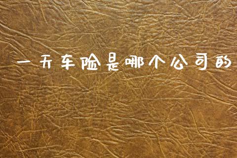 一天车险是哪个公司的_https://m.fansifence.com_个股行情_第1张