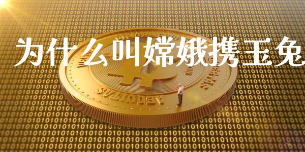 为什么叫嫦娥携玉兔_https://m.fansifence.com_贵金属行情_第1张