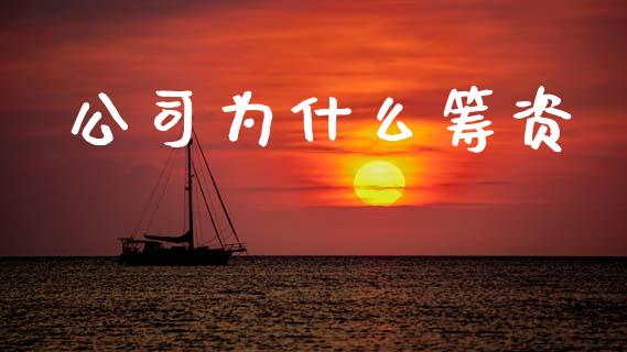 公司为什么筹资_https://m.fansifence.com_个股行情_第1张