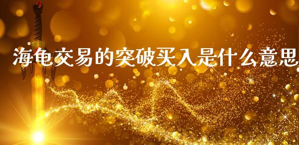 海龟交易的突破买入是什么意思_https://m.fansifence.com_个股行情_第1张