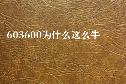 603600为什么这么牛_https://m.fansifence.com_消费金融_第1张