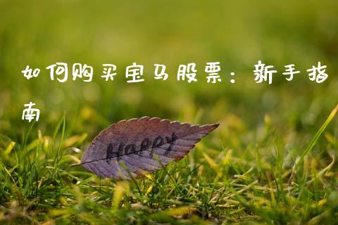 如何购买宝马股票：新手指南_https://m.fansifence.com_个股行情_第1张