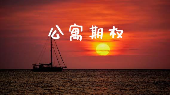 公寓期权_https://m.fansifence.com_公募基金_第1张